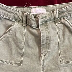 Evisu Mint Green Denim Trousers